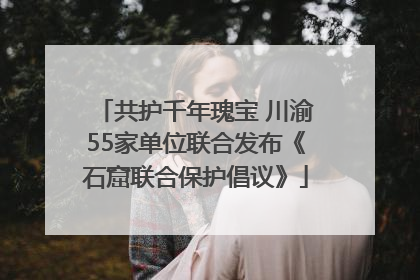 共护千年瑰宝 川渝55家单位联合发布《石窟联合保护倡议》