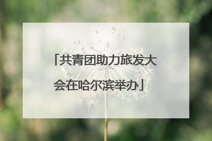 共青团助力旅发大会在哈尔滨举办
