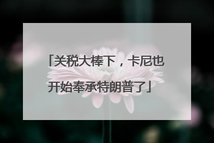 关税大棒下，卡尼也开始奉承特朗普了
