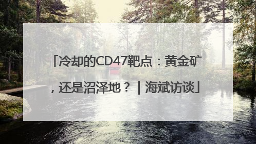 冷却的CD47靶点：黄金矿，还是沼泽地？｜海斌访谈