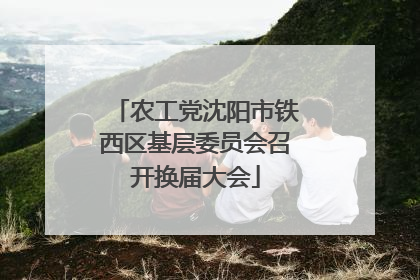 农工党沈阳市铁西区基层委员会召开换届大会