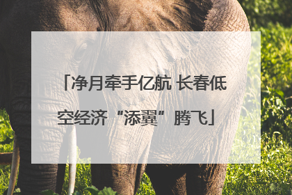 净月牵手亿航 长春低空经济“添翼”腾飞
