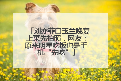 刘亦菲白玉兰晚宴上菜先拍照，网友：原来明星吃饭也是手机“先吃”