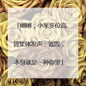 刚刚，小米多位高管集体发声：诋毁，本身就是一种仰望