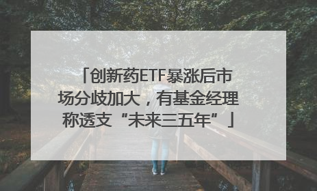 创新药ETF暴涨后市场分歧加大，有基金经理称透支“未来三五年”