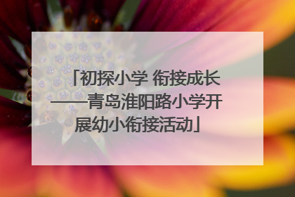 初探小学 衔接成长——青岛淮阳路小学开展幼小衔接活动