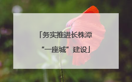 务实推进长株潭“一座城”建设