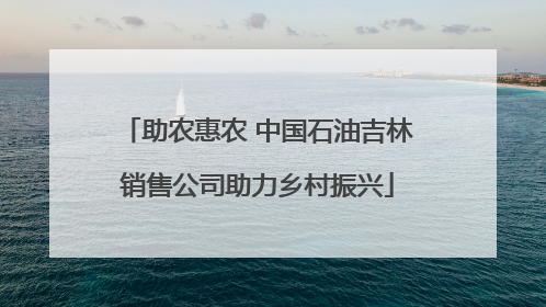 助农惠农 中国石油吉林销售公司助力乡村振兴