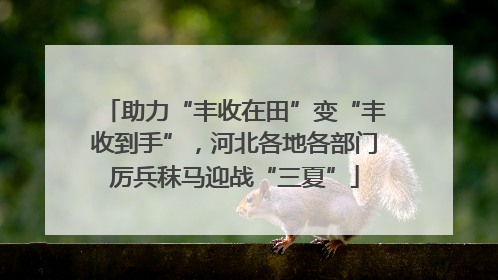 助力“丰收在田”变“丰收到手”，河北各地各部门厉兵秣马迎战“三夏”