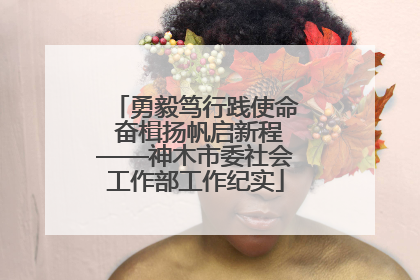 勇毅笃行践使命 奋楫扬帆启新程——神木市委社会工作部工作纪实