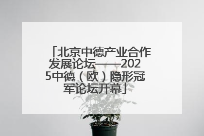 北京中德产业合作发展论坛——2025中德（欧）隐形冠军论坛开幕