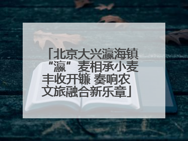北京大兴瀛海镇“瀛”麦相承小麦丰收开镰 奏响农文旅融合新乐章