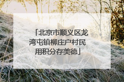 北京市顺义区龙湾屯镇柳庄户村民用积分存美德