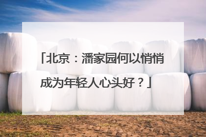 北京：潘家园何以悄悄成为年轻人心头好？