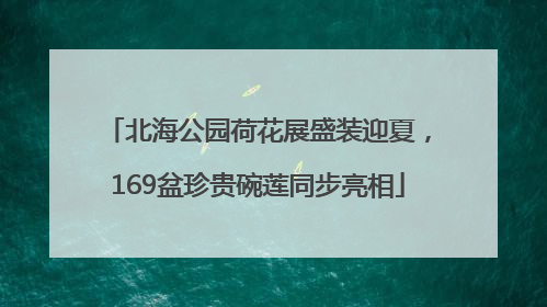 北海公园荷花展盛装迎夏，169盆珍贵碗莲同步亮相