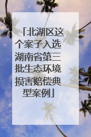 北湖区这个案子入选湖南省第三批生态环境损害赔偿典型案例