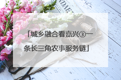 城乡融合看嘉兴③一条长三角农事服务链
