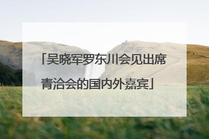 吴晓军罗东川会见出席青洽会的国内外嘉宾