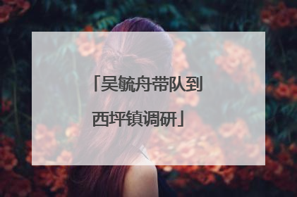 吴毓舟带队到西坪镇调研
