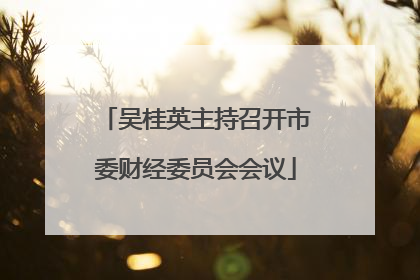 吴桂英主持召开市委财经委员会会议