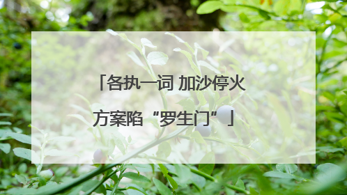 各执一词 加沙停火方案陷“罗生门”