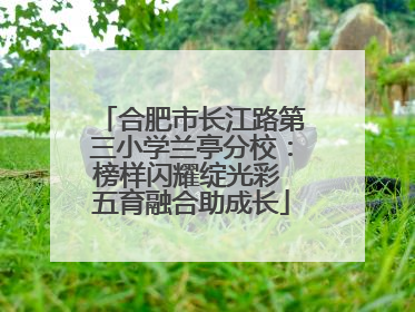 合肥市长江路第三小学兰亭分校：榜样闪耀绽光彩 五育融合助成长