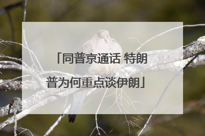 同普京通话 特朗普为何重点谈伊朗