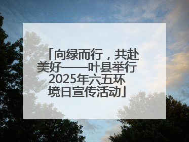 向绿而行，共赴美好——叶县举行2025年六五环境日宣传活动