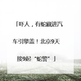 吓人，有蛇藏进汽车引擎盖！北京9天接9起“蛇警”