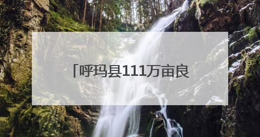 呼玛县111万亩良田“播种收官”科技护航蓄力“金秋丰景”