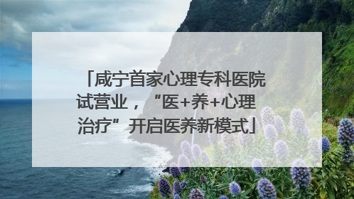 咸宁首家心理专科医院试营业，“医+养+心理治疗”开启医养新模式