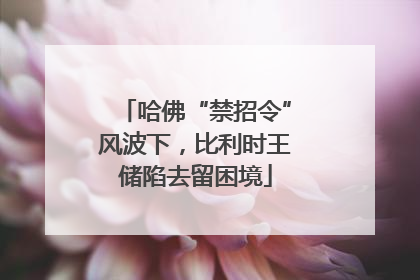 哈佛“禁招令”风波下，比利时王储陷去留困境