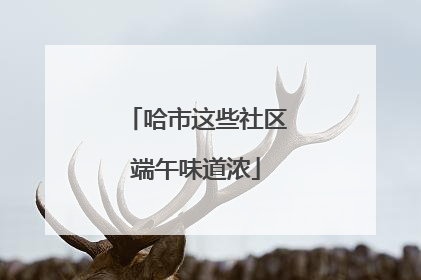 哈市这些社区端午味道浓
