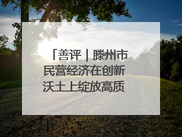 善评｜滕州市民营经济在创新沃土上绽放高质量发展之花