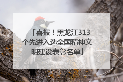 喜报！黑龙江313个先进入选全国精神文明建设表彰名单