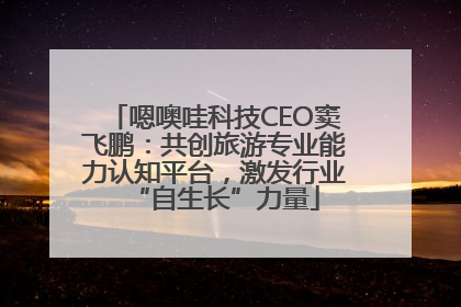 嗯噢哇科技CEO窦飞鹏：共创旅游专业能力认知平台，激发行业“自生长”力量