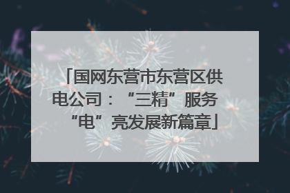 国网东营市东营区供电公司：“三精”服务“电”亮发展新篇章