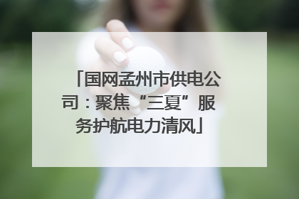 国网孟州市供电公司：聚焦“三夏”服务护航电力清风