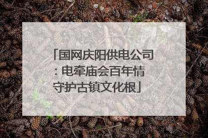 国网庆阳供电公司：电牵庙会百年情 守护古镇文化根
