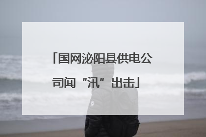 国网泌阳县供电公司闻“汛”出击