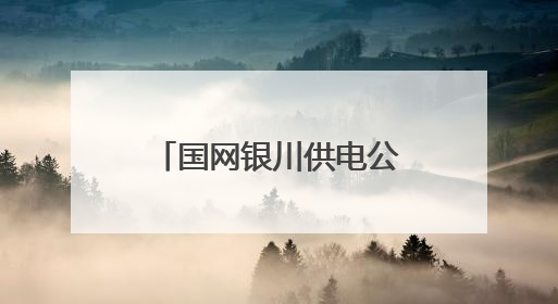 国网银川供电公司发布2024年服务地方经济社会发展白皮书