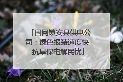 国网镇安县供电公司：绿色报装速度快 抗旱保电解民忧