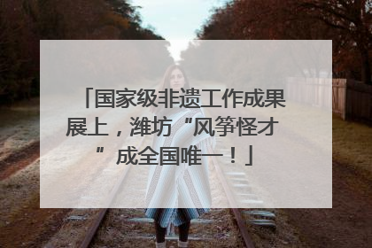 国家级非遗工作成果展上，潍坊“风筝怪才”成全国唯一！