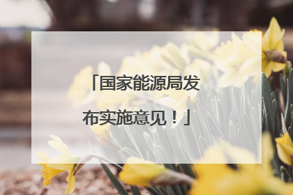 国家能源局发布实施意见！