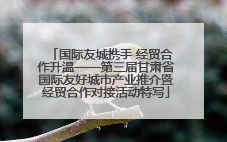 国际友城携手 经贸合作升温——第三届甘肃省国际友好城市产业推介暨经贸合作对接活动特写