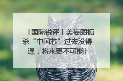国际锐评丨美妄图扼杀“中国芯”过去没得逞，将来更不可能