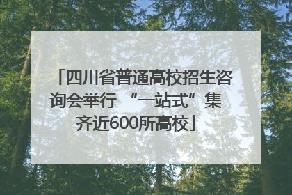 四川省普通高校招生咨询会举行 “一站式”集齐近600所高校