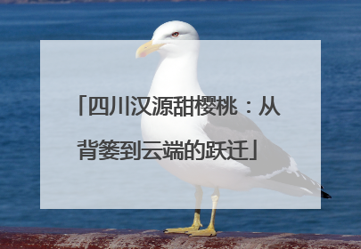 四川汉源甜樱桃：从背篓到云端的跃迁