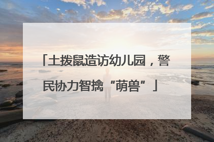 土拨鼠造访幼儿园，警民协力智擒“萌兽”