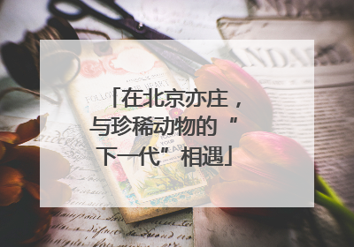 在北京亦庄，与珍稀动物的“下一代”相遇
